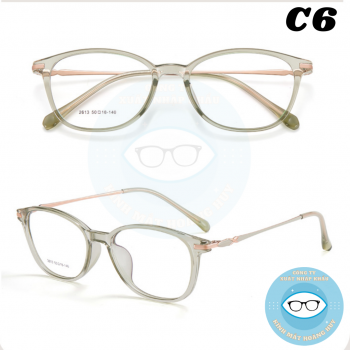 Gọng nhựa nữ mã 2613